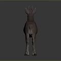 Realistic 3D Brown Deer Model With Antlers On Grey Background And Shiny Floor