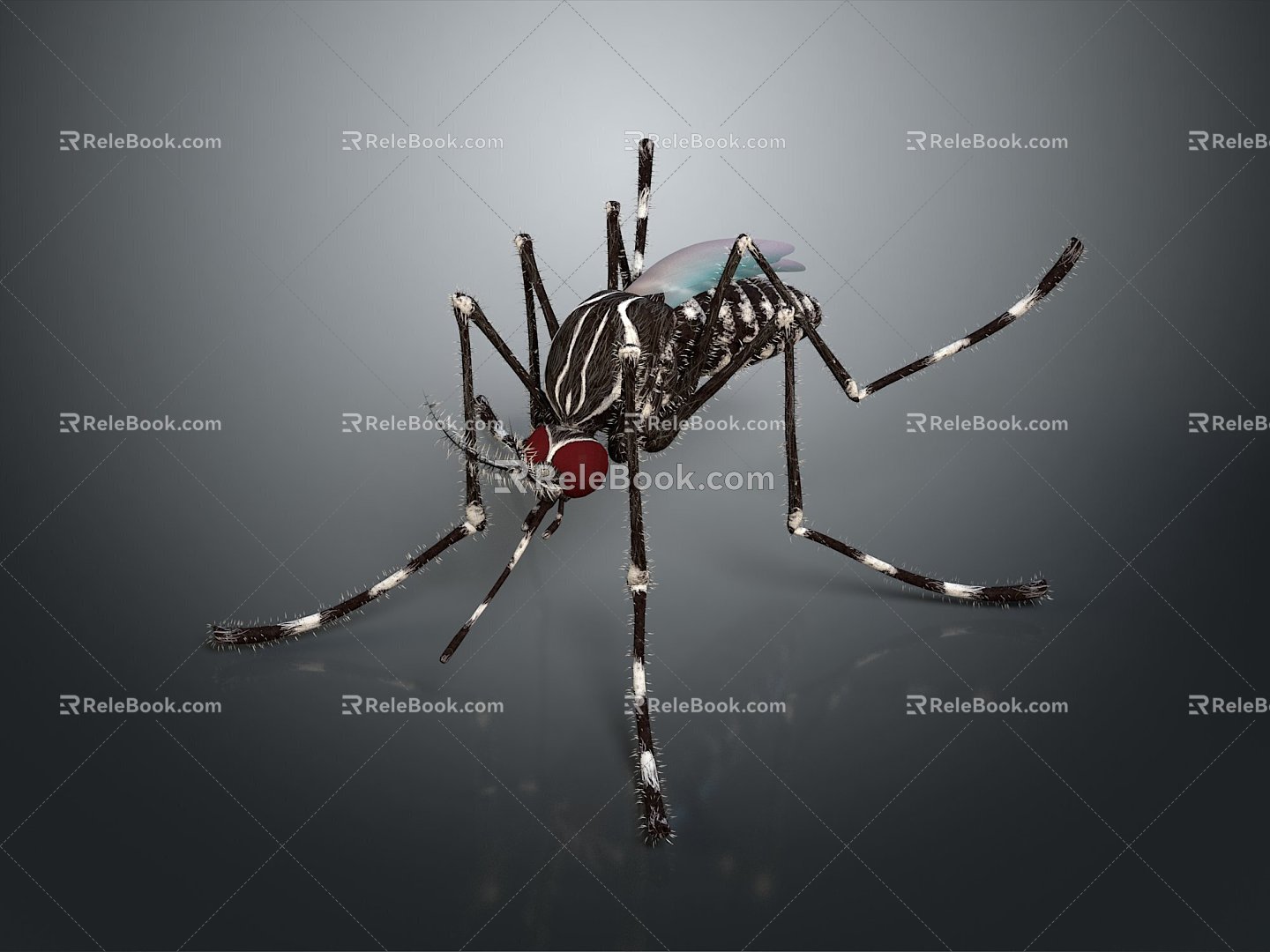 Mosquito Cartoon Mosquito Cartoon Insect Monster Monster Cartoon Monster Monster Cartoon Monster 3d model