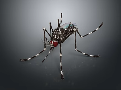 Effective Household Supplies For Mosquito Control With Practical Electric Swatter And Safe Design 3d model