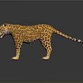 Detailed Leopard Sculpture Carving With Spotted Pattern Standing Pose Realistic 3D Design 3d model