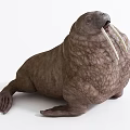 Walrus Aquatic Animal With Wrinkled Brown Body Long White Tusks And Relaxed Lying Posture