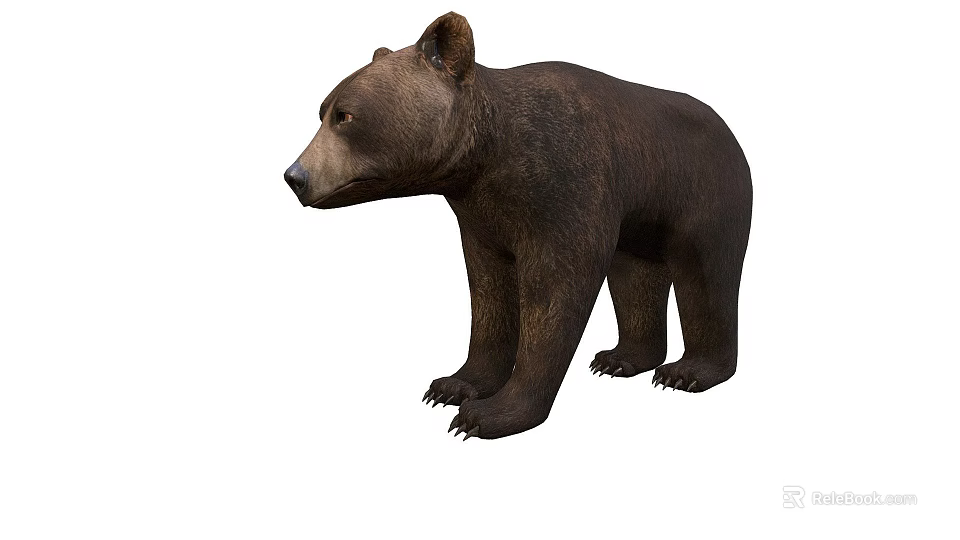 Realistic Brown Bear Game Movie Character With Furry Fur And Standing Stance 3d model 