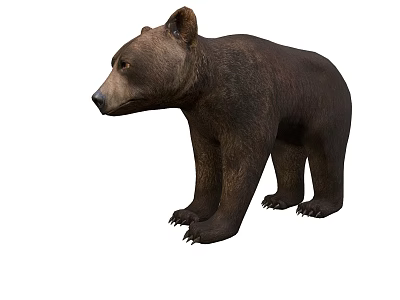 Realistic Brown Bear Game Movie Character With Furry Fur And Standing Stance 3d model