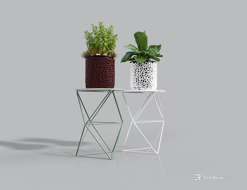 Bonsai Potted Plants On Geometric Tables With Dark Textured And White Perforated Pots 3d model 