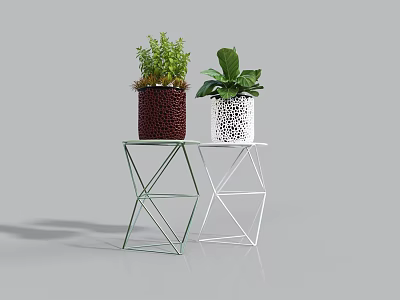 Bonsai Potted Plants On Geometric Tables With Dark Textured And White Perforated Pots 3d model