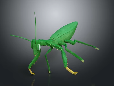 Detailed Green Mantis 3D Model With Long Antennae And Yellow Legs 3d model