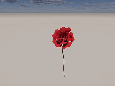 Single Red Poppy Flower Standing In Open Field Under Blue Sky 3d model