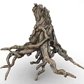 Natural Tree Stump Root System With Intricate Twisted Branches And Rough Textures 3d model