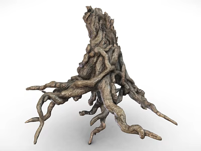 Natural Tree Stump Root System With Intricate Twisted Branches And Rough Textures 3d model