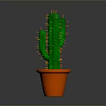 Tall Green Cactus With Thorns In Orange Pot On Gray Background