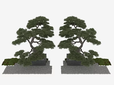 Symmetric Arbor Landscape Design With Curved Trunks Stone Bases And Gravel Ground 3d model
