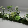 Lush Green Shrubs With White Flowers And Leafy Plants Garden