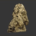 Modern Coral Wrinkle Coral Reef Rocks 3d model