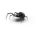 Black Reptile With Red Markings On Body And Long Legs In White Background