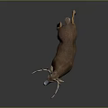 Realistic Standing Buck Deer Model With Brown White Coat And Large Antlers On Dark Background