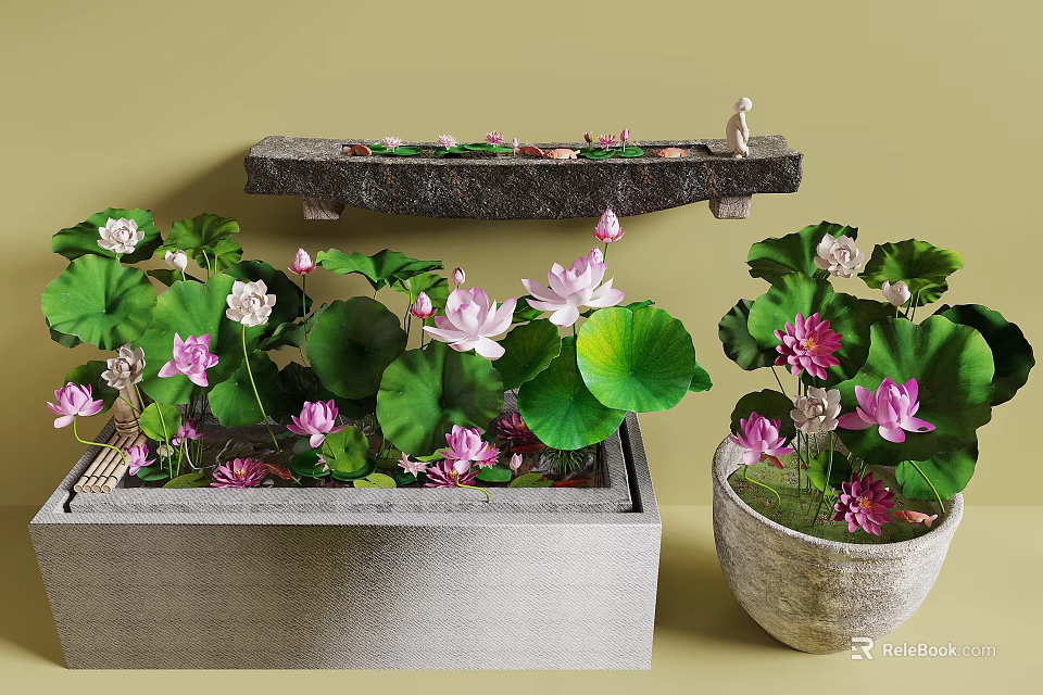 Water Plants Lotus Featuring Green Leaves Pink White Flowers in Stone Container and Ceramic Pot 3d model 