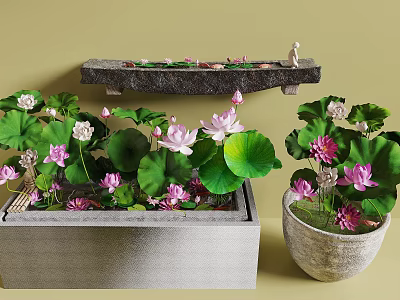Water Plants Lotus Featuring Green Leaves Pink White Flowers in Stone Container and Ceramic Pot 3d model