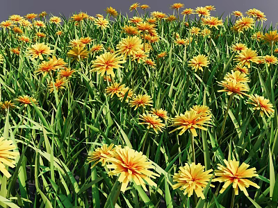 Bright Yellow Flowers And Lush Green Grass Blooming In Natural Meadow 3d model