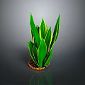 Bonsai Potted Plant With Green And Yellow Striped Leaves On Brown Soil Base