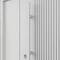 Modern Wooden Door With Vertical Stripes Black Frame And Glass Side Panels Viewing Trees Outside