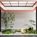 Indoor Landscape Landscaping Stone Bryophytes 3d model