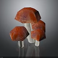 Red Mushrooms With White Stems And Textured Surfaces Four Stacked On Dark Background