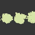Various Sizes And Types Of Arbor Trees With Lush Green Foliage And Distinct Crown Shapes