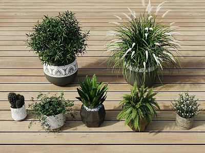 Various Hanging Basket Green Plants with Different Types and Flower Pot Styles on Wooden Floor 3d model