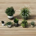 Various Hanging Basket Green Plants with Different Types and Flower Pot Styles on Wooden Floor