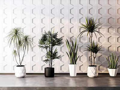 Stylish Indoor Potted Plants With Geometric Pots On Gray Countertop Against White Patterned Wall 3d model