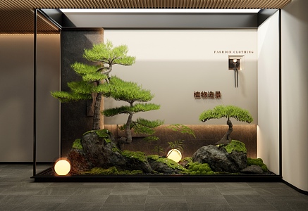 New Chinese indoor plants landscaping moss stone courtyard sketch Pohan pines fern plants 3d model