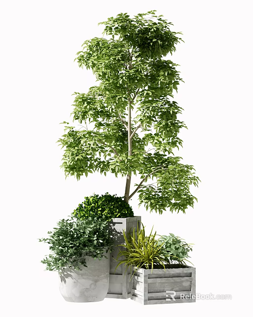Lush Green Bonsai Plant With Small Surrounding Plants In Ceramic Pot 3d model 