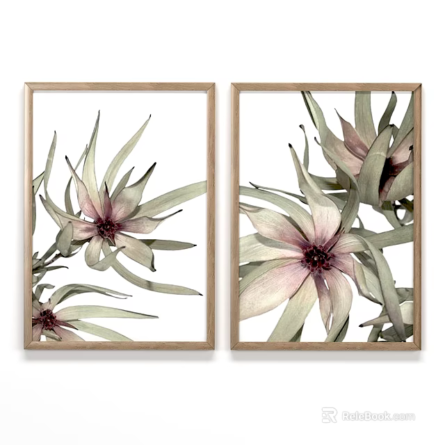 Set of Two Botanical Prints With Wooden Frames Pink Flowers and Green Leaves 3d model 