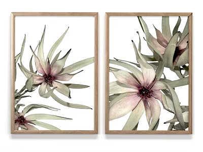 Set of Two Botanical Prints With Wooden Frames Pink Flowers and Green Leaves 3d model
