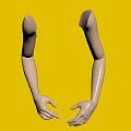 Mannequin Arms With Natural Skin Tone In Open Hands Pose For Fashion