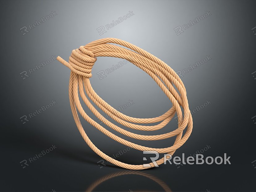 Hemp Rope Twist model