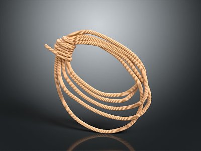 Hemp Rope Twist 3d model