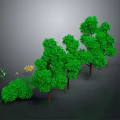 Lush Green Trees And Shrubs With Various Sizes For Outdoor Garden Landscaping Design