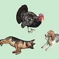 Animal Chicken Dog 3d model