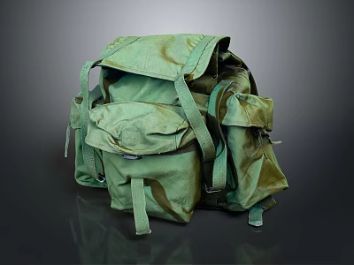 Green Camouflage Backpack With Multiple Pockets Adjustable Straps And Durable Fabric 3d model
