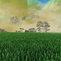 Peaceful Natural Landscape With Lush Green Cropland Misty Pine Trees And Foggy Distant Mountain View