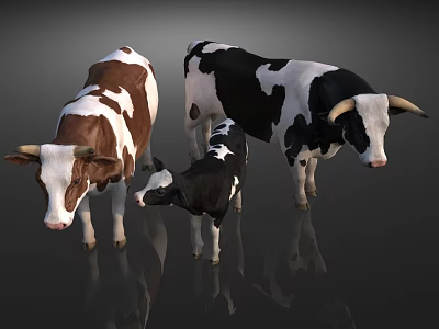 Cow cattle 3d model