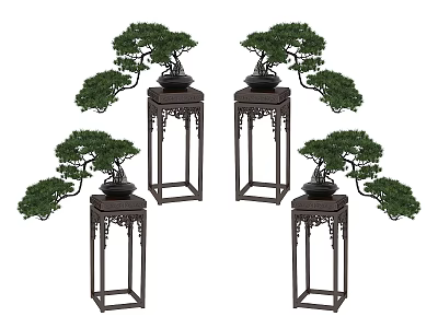 Elegant Bonsai Pine Plants on Wooden Stands with Lush Green Branches 3d model