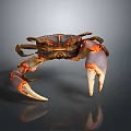 Brown and Orange Crab With Large Claws On Dark Background With Reflection 3d model