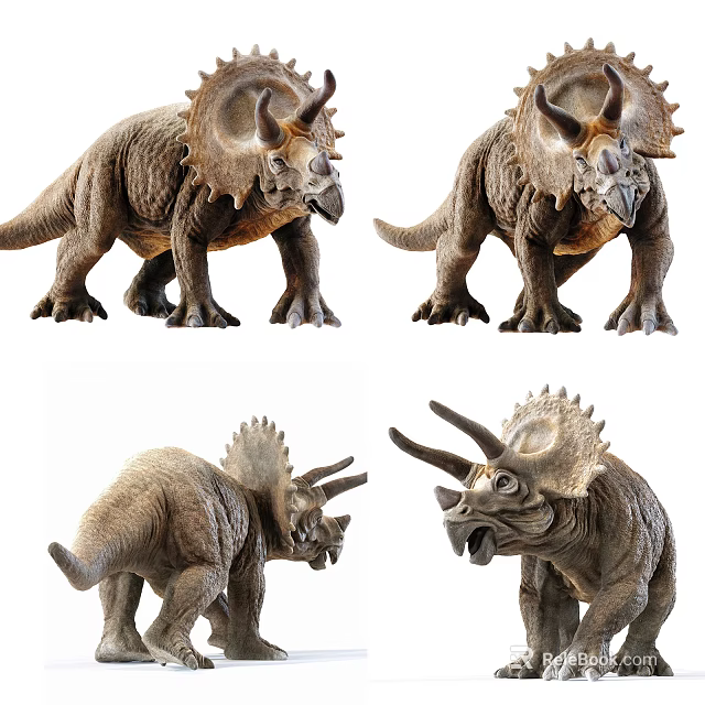 Reptile Triceratops Model Realistic Detailed Display With Multiple Angles View 3d model
