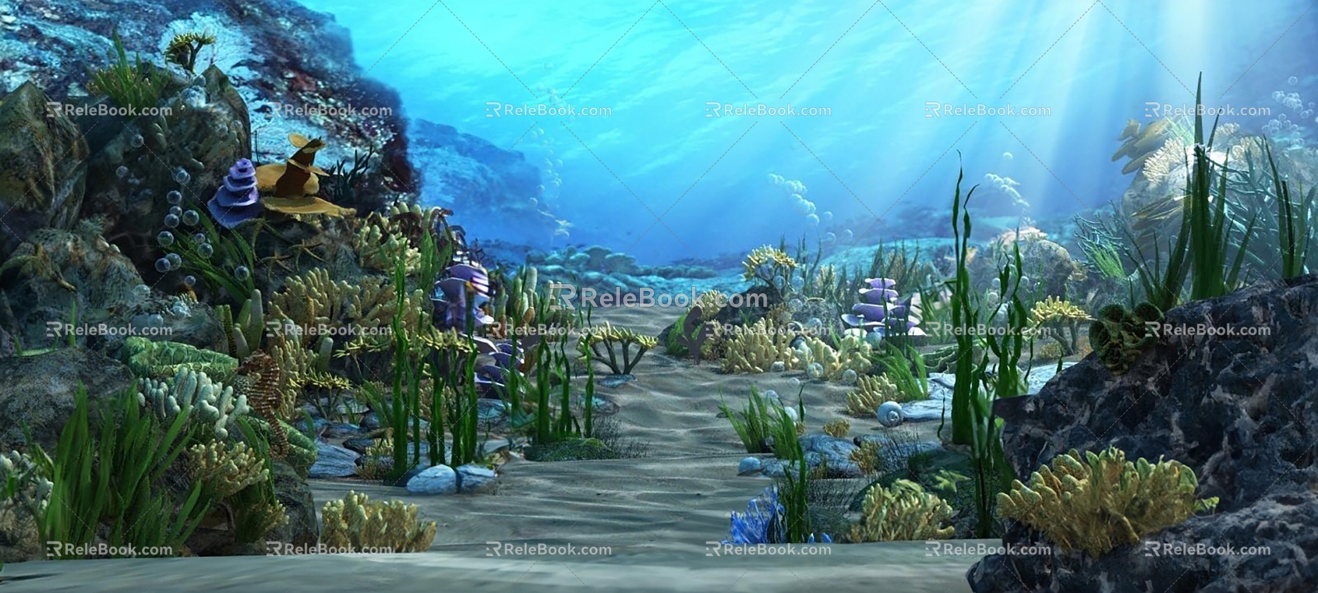 Modern Underwater World Fish Coral Hippocampus Seagrass Aquatic Animal Aquatic Plant 3d model