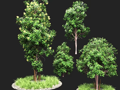 Green Trees with Various Sizes and Shapes Surrounded by Lush Grass in Natural Landscape 3d model