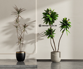 Modern Green Plant Potted Plant Combination 3d model