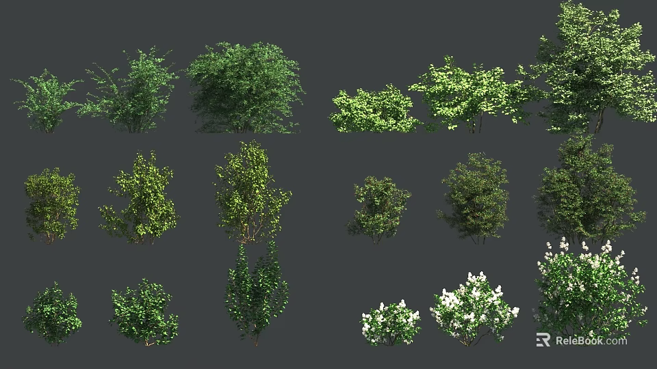Different Garden Shrubs Showcasing Green Foliage Flowering Varieties And Unique Forms 3d model