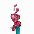 Elegant blue cylindrical vase holding several blooming pink flowers as home decor